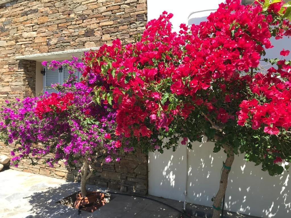 Oikia Petra Villa อาจิออส ไอออนนิส ภายนอก รูปภาพ